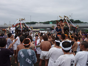 �C���n�䂨����