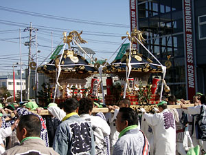 �V���_�`�̋����R