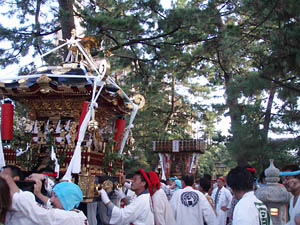 �{���n�䕗�i�Q