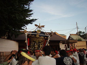 �����n�䕗�i�P