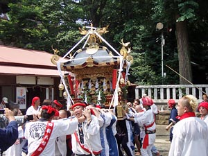 �{�����i�Q