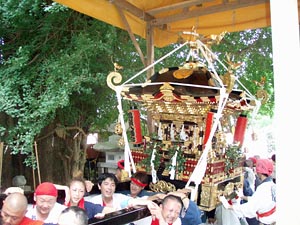 �{�����i�T