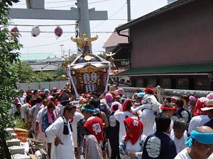 �{�����i�P