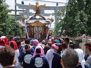 �{�����i�Q