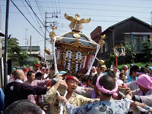 �V�Q����񁗉�