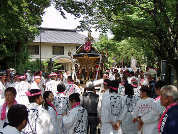 �������O