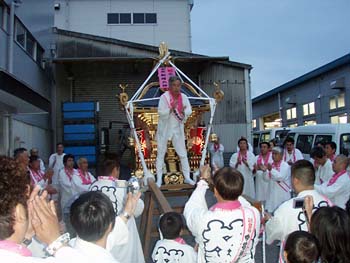 ��������n�� �������P