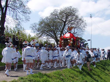 �@���Ђ���D�n�䕗�i�P