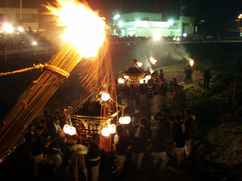 �쉺�蕗�i�P