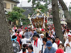 �Q���n�䕗�i�P