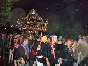 ���J���̓n�䕗�i�T