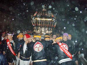 ���J���̓n�䕗�i�Q