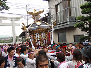 �{�����i�P