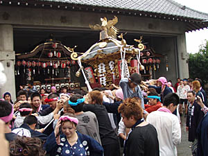 �{�����i�Q