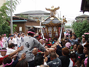 �{�����i�T