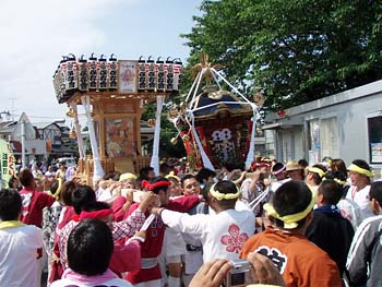 ����w�O�n�䕗�i�T