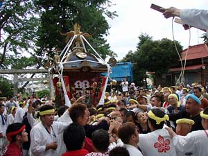 �{���n�䕗�i�T