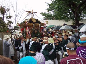 ���˔����{�T