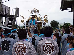 �_�������������i