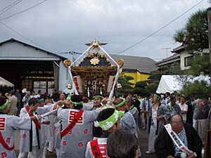 �����n��E�������P