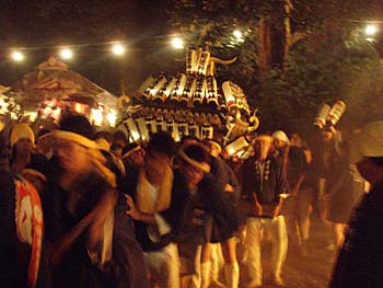 �����╗�i�P