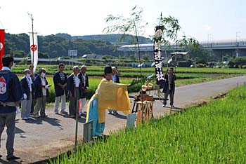 �_���̖͗l�P