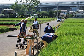 �_���̖͗l�Q