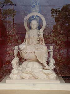 ���q�E�q��n����F��