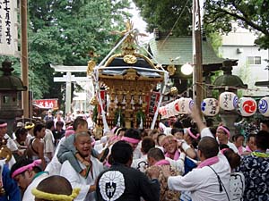 �{�����i�T