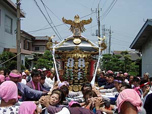 ���f�B�[�X�^�C���n�䕗�i�S