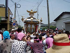 ���f�B�[�X�^�C���n�䕗�i�T