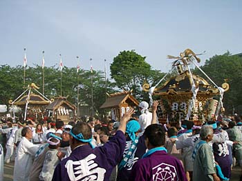 ������n�䕗�i�P