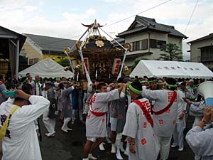 �����n��E�������P