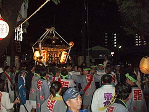 �{���n�䕗�i�P