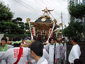 �����n��E�������Q