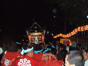 �{���n�䕗�i�P