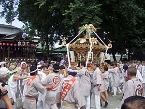 ���������i�P