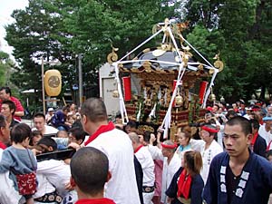 �{�����i�P