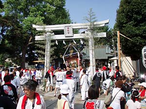 ���������i�P