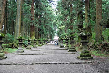 �Q�����i