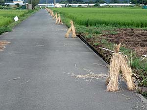 ���_�`������