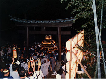 �{�����i�P