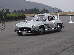 MERCEDES 300 SL GULLWING(1)