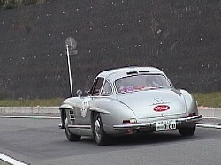 MERCEDES 300 SL GULLWING(2)