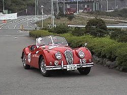 JAGUAR XK 140 OTS(1)