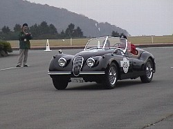JAGUAR XK 120 ROADSTER(1)