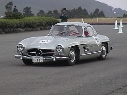 MERCEDES 300SL GULLWING(1)