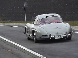 MERCEDES 300SL GULLWING(2)