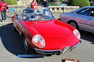 �A���t�@�����I�@�X�p�C�_�[ �x���[�`�F �f���G�b�g