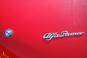 �A���t�@�����I�@�X�p�C�_�[ �x���[�`�F �f���G�b�g